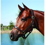 HDR ADVANTAGE PADDED HALTER - HORSE SIZE - HAVANA