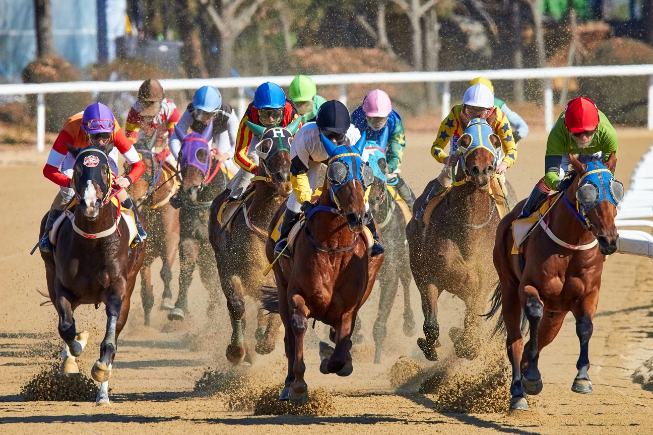 Standardbred racing equipment